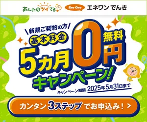 エネワンでんき